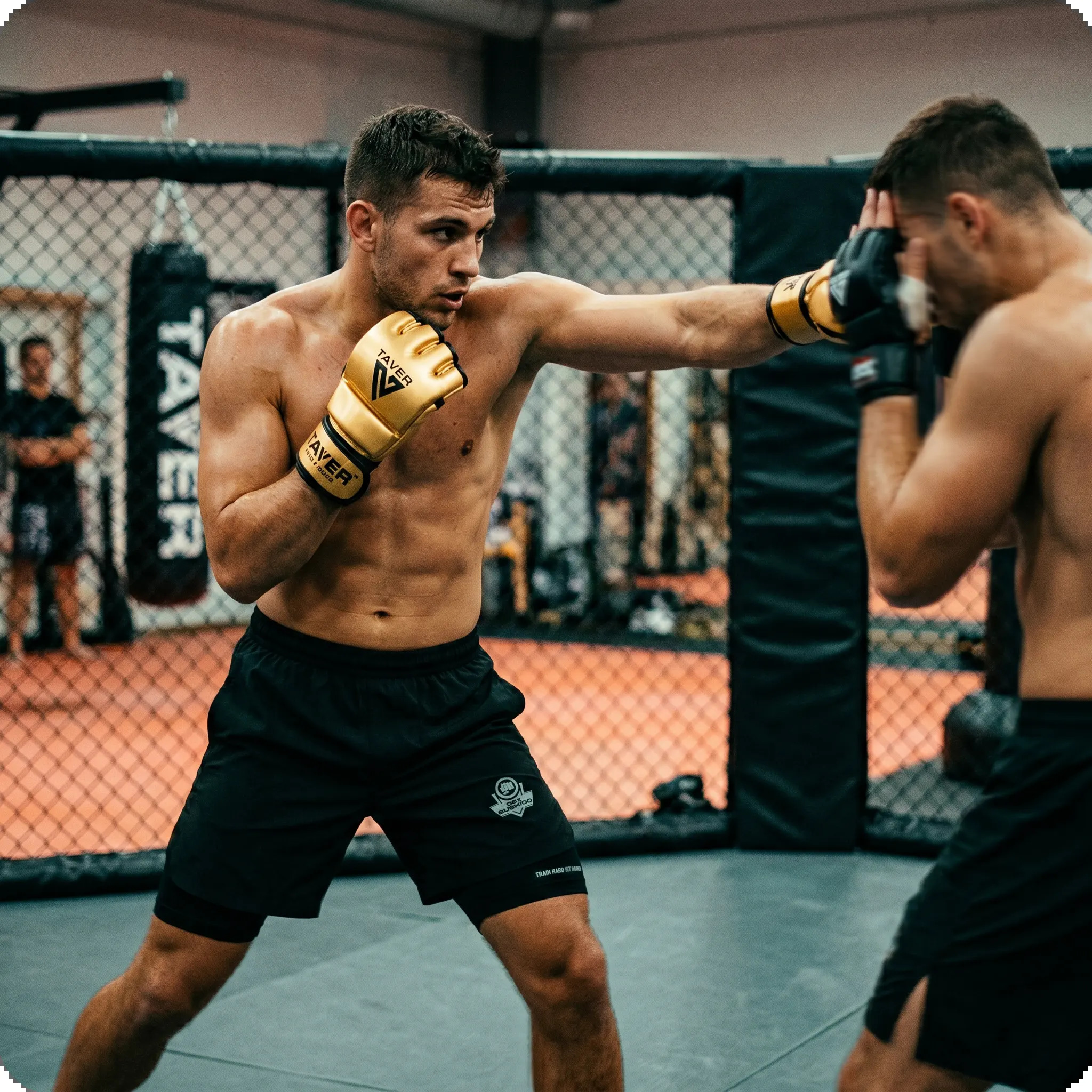 Ziomek_sparring